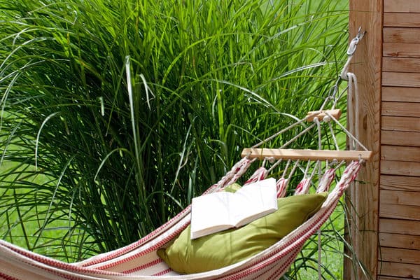 Kto udziela urlopu dyrektorowi instytucji kultury