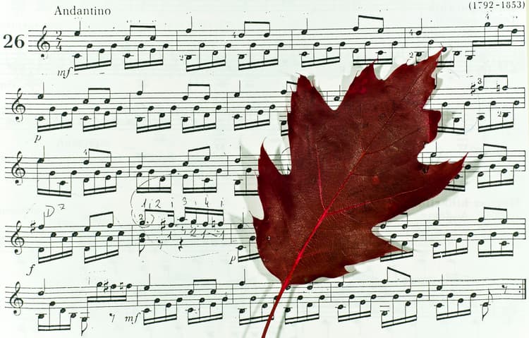 Ulga sponsoringowa i zwolnienie podatkowe z tytułu sprzedaży zabytku ruchomego