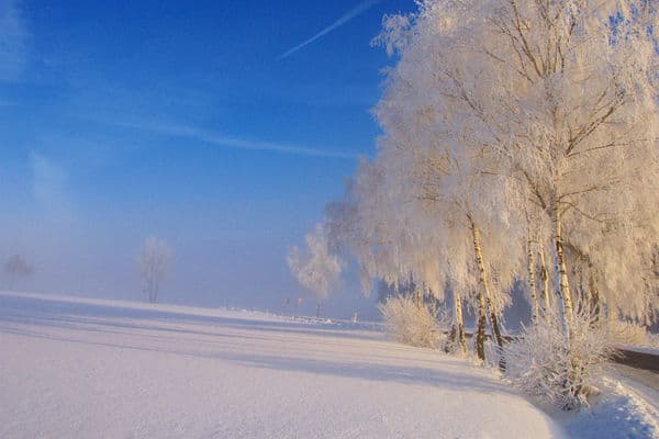 Czy pracownik może odmówić pracy, gdy temperatura spadnie poniżej wymaganej przez przepisy